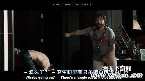 新版影视字幕截图 笑惨啦